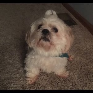 Meet your Posher, Laura